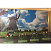 Decorwand Holland landschap