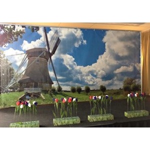 Decorwand Holland landschap